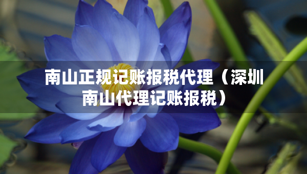 南山正規(guī)記賬報稅代理（深圳南山代理記賬報稅）