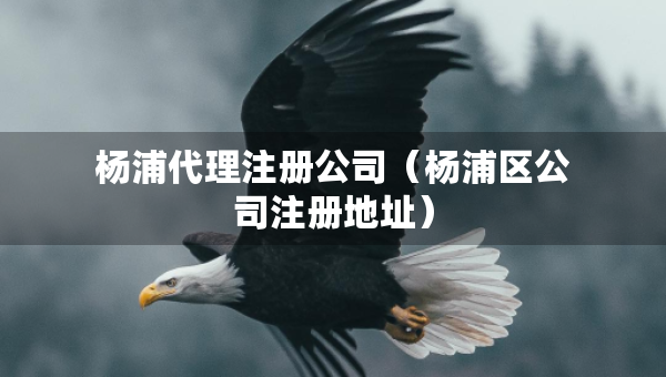 楊浦代理注冊(cè)公司（楊浦區(qū)公司注冊(cè)地址）