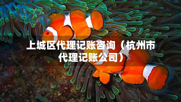 上城區(qū)代理記賬咨詢（杭州市代理記賬公司）