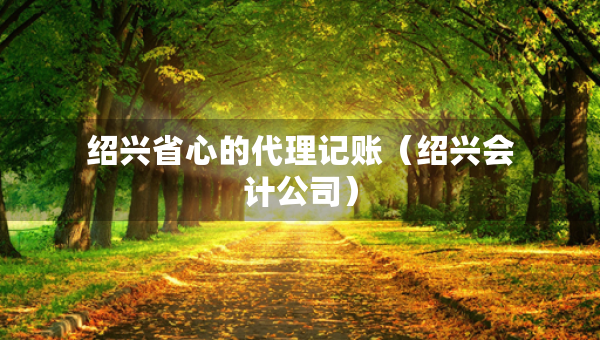 紹興省心的代理記賬（紹興會(huì)計(jì)公司）