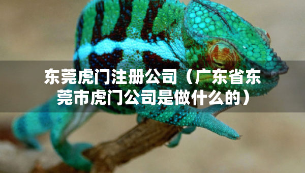 東莞虎門注冊公司（廣東省東莞市虎門公司是做什么的）