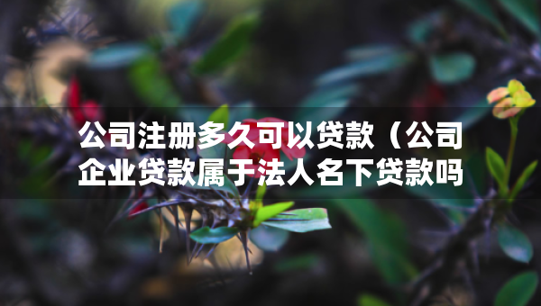 公司注冊多久可以貸款（公司企業(yè)貸款屬于法人名下貸款嗎）