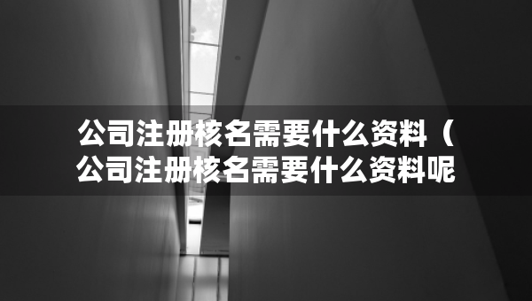 公司注冊核名需要什么資料（公司注冊核名需要什么資料呢）