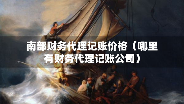 南部財(cái)務(wù)代理記賬價(jià)格（哪里有財(cái)務(wù)代理記賬公司）