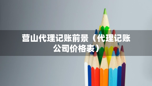營(yíng)山代理記賬前景（代理記賬公司價(jià)格表）