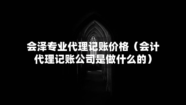 會(huì)澤專業(yè)代理記賬價(jià)格（會(huì)計(jì)代理記賬公司是做什么的）