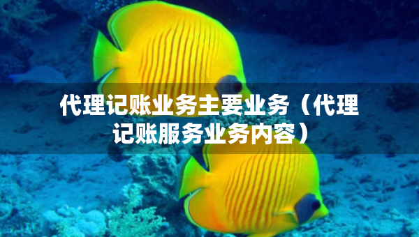 代理記賬業(yè)務主要業(yè)務（代理記賬服務業(yè)務內容）