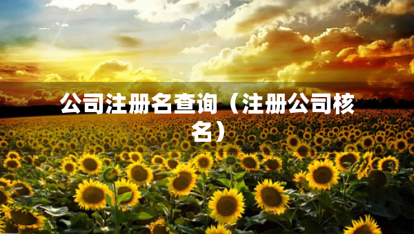 公司注冊名查詢（注冊公司核名）