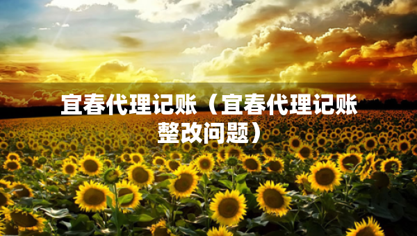 宜春代理記賬（宜春代理記賬整改問題）