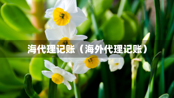 海代理記賬（海外代理記賬）