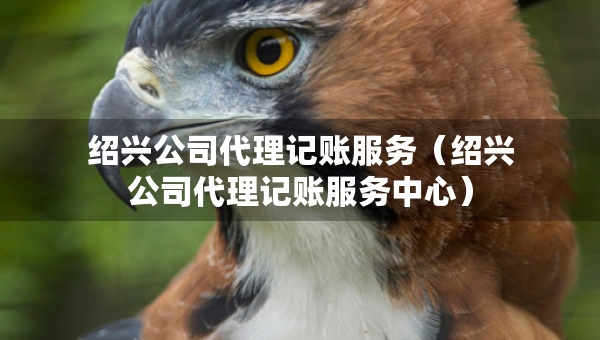 紹興公司代理記賬服務(wù)（紹興公司代理記賬服務(wù)中心）