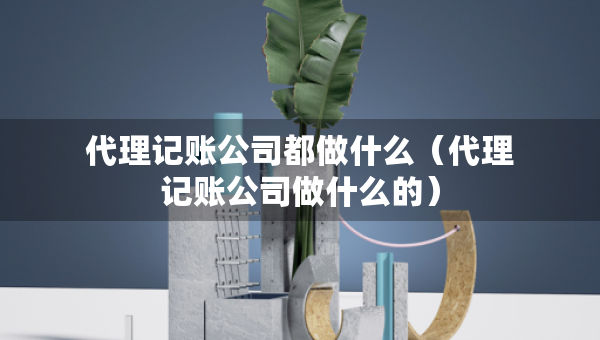 代理記賬公司都做什么（代理記賬公司做什么的）