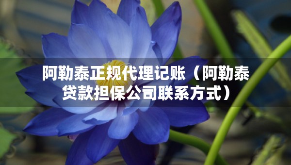 阿勒泰正規(guī)代理記賬（阿勒泰貸款擔(dān)保公司聯(lián)系方式）