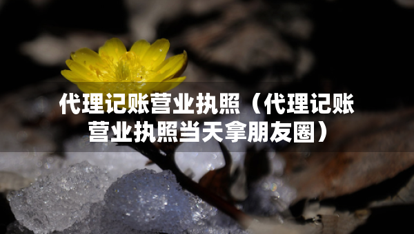 代理記賬營(yíng)業(yè)執(zhí)照（代理記賬營(yíng)業(yè)執(zhí)照當(dāng)天拿朋友圈）
