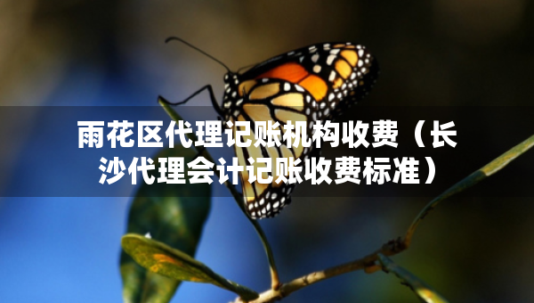雨花區(qū)代理記賬機(jī)構(gòu)收費(fèi)（長沙代理會計記賬收費(fèi)標(biāo)準(zhǔn)）