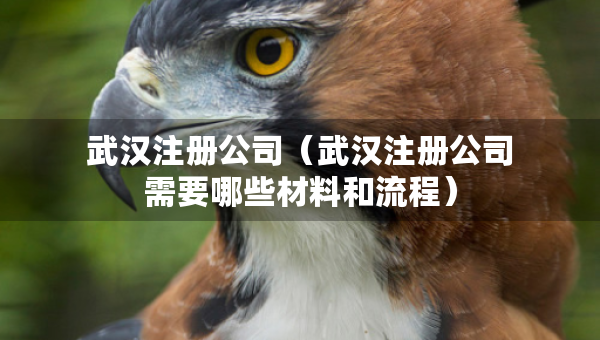 武漢注冊(cè)公司（武漢注冊(cè)公司需要哪些材料和流程）