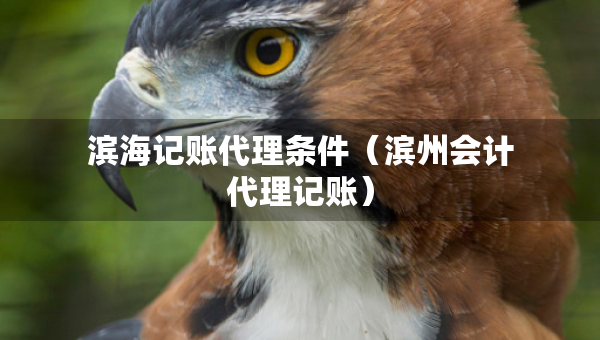 濱海記賬代理?xiàng)l件（濱州會(huì)計(jì)代理記賬）