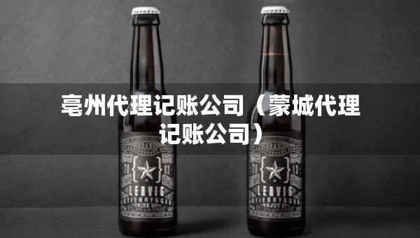 亳州代理記賬公司（蒙城代理記賬公司）