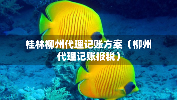 桂林柳州代理記賬方案（柳州代理記賬報(bào)稅）