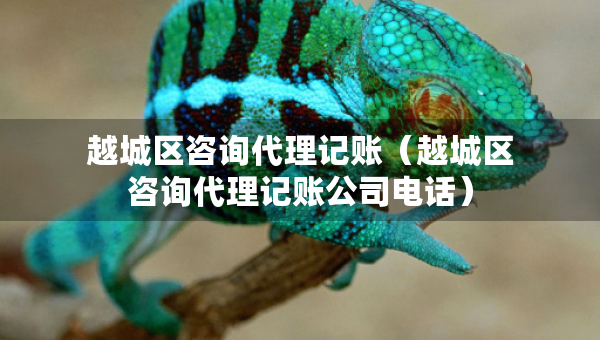 越城區(qū)咨詢代理記賬（越城區(qū)咨詢代理記賬公司電話）