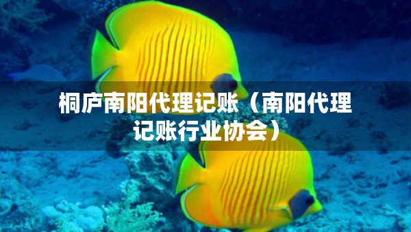 桐廬南陽(yáng)代理記賬（南陽(yáng)代理記賬行業(yè)協(xié)會(huì)）