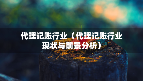 代理記賬行業(yè)（代理記賬行業(yè)現(xiàn)狀與前景分析）