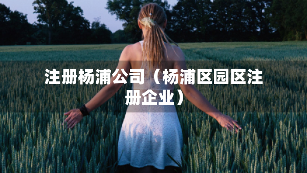 注冊(cè)楊浦公司（楊浦區(qū)園區(qū)注冊(cè)企業(yè)）