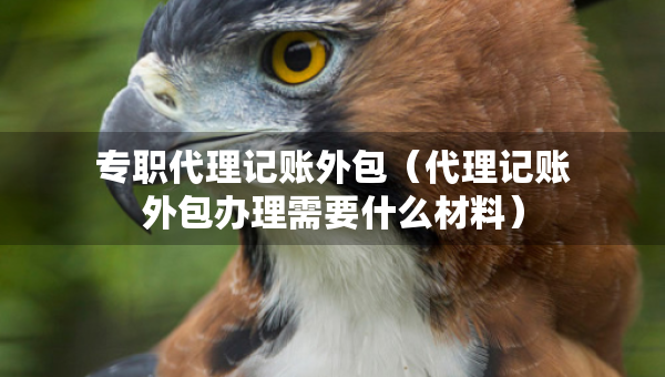 專職代理記賬外包（代理記賬外包辦理需要什么材料）
