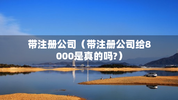 帶注冊(cè)公司（帶注冊(cè)公司給8000是真的嗎?）