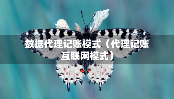 數(shù)據(jù)代理記賬模式（代理記賬互聯(lián)網(wǎng)模式）