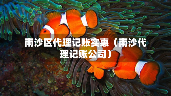 南沙區(qū)代理記賬實惠（南沙代理記賬公司）