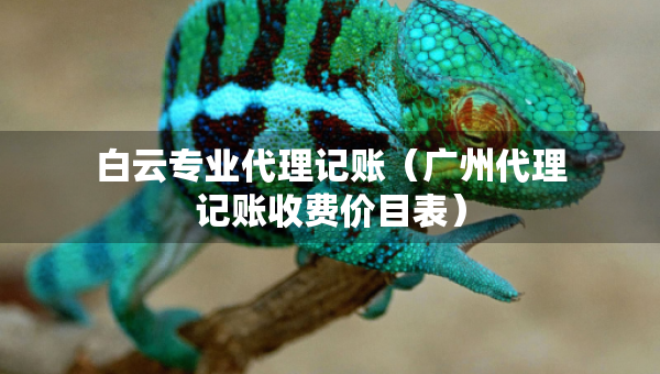 白云專業(yè)代理記賬（廣州代理記賬收費(fèi)價(jià)目表）