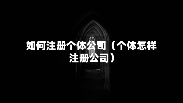 如何注冊個體公司（個體怎樣注冊公司）