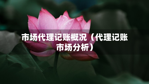 市場(chǎng)代理記賬概況（代理記賬市場(chǎng)分析）
