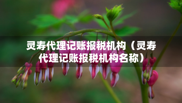 靈壽代理記賬報(bào)稅機(jī)構(gòu)（靈壽代理記賬報(bào)稅機(jī)構(gòu)名稱(chēng)）