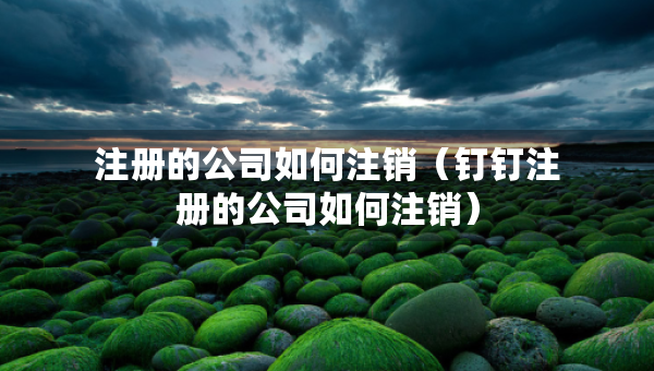 注冊的公司如何注銷（釘釘注冊的公司如何注銷）