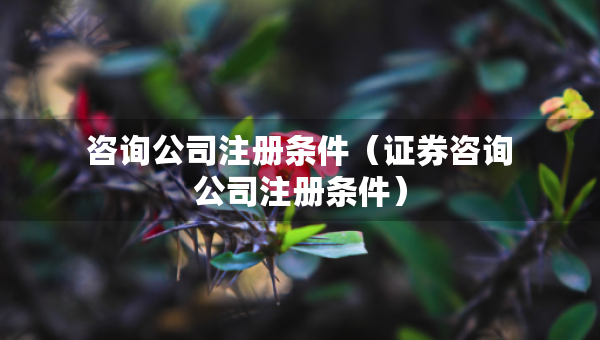 咨詢公司注冊條件（證券咨詢公司注冊條件）