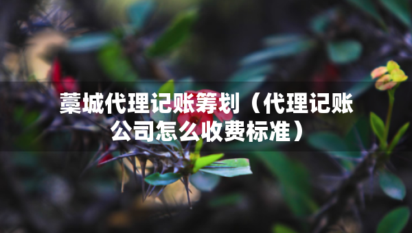 藁城代理記賬籌劃（代理記賬公司怎么收費(fèi)標(biāo)準(zhǔn)）
