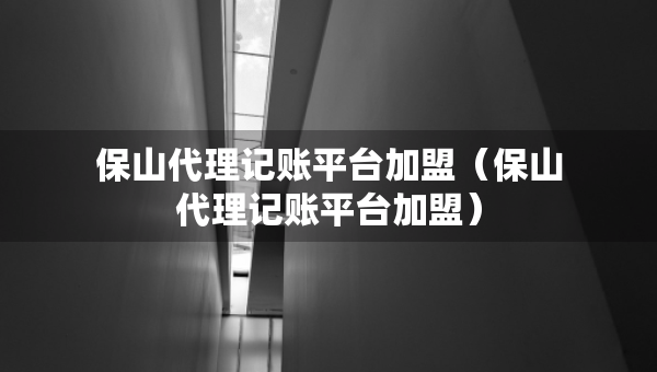 保山代理記賬平臺加盟（保山代理記賬平臺加盟）