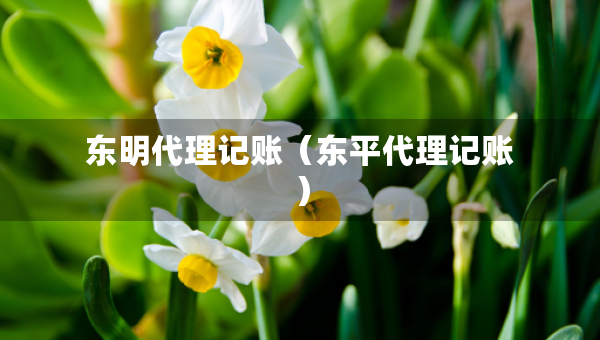 東明代理記賬（東平代理記賬）