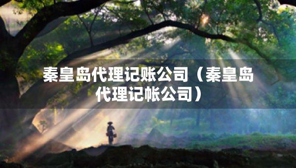 秦皇島代理記賬公司（秦皇島代理記帳公司）