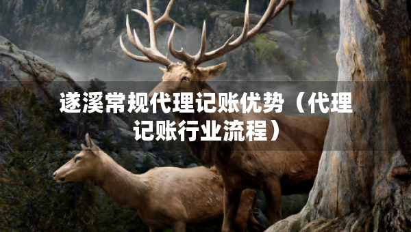 遂溪常規(guī)代理記賬優(yōu)勢(shì)（代理記賬行業(yè)流程）