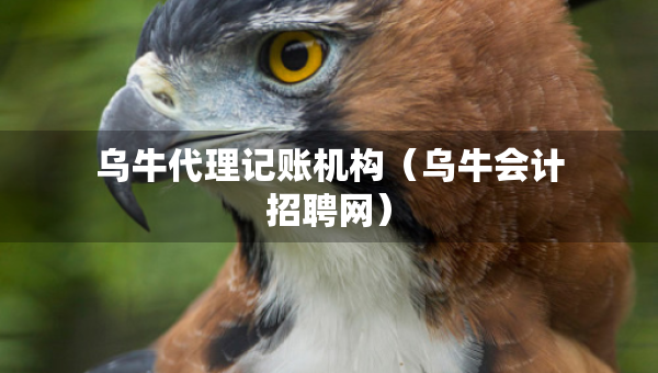 烏牛代理記賬機(jī)構(gòu)（烏牛會(huì)計(jì)招聘網(wǎng)）