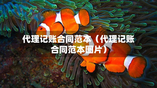 代理記賬合同范本（代理記賬合同范本圖片）