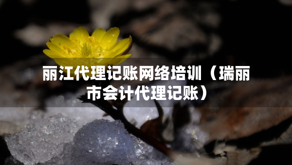 麗江代理記賬網(wǎng)絡(luò)培訓(xùn)（瑞麗市會(huì)計(jì)代理記賬）