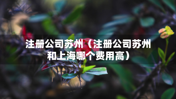 注冊公司蘇州（注冊公司蘇州和上海哪個(gè)費(fèi)用高）