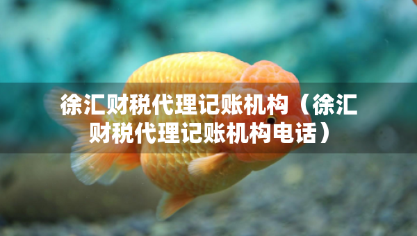 徐匯財(cái)稅代理記賬機(jī)構(gòu)（徐匯財(cái)稅代理記賬機(jī)構(gòu)電話）