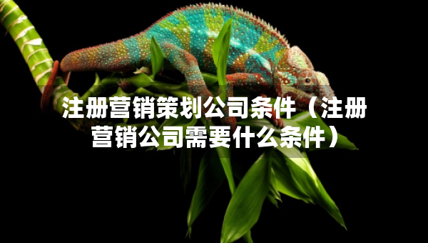 注冊(cè)營(yíng)銷策劃公司條件（注冊(cè)營(yíng)銷公司需要什么條件）