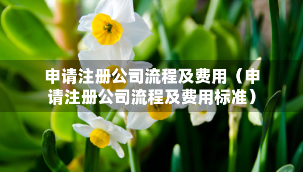 申請注冊公司流程及費(fèi)用（申請注冊公司流程及費(fèi)用標(biāo)準(zhǔn)）