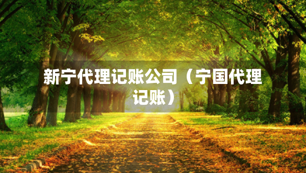新寧代理記賬公司（寧國代理記賬）